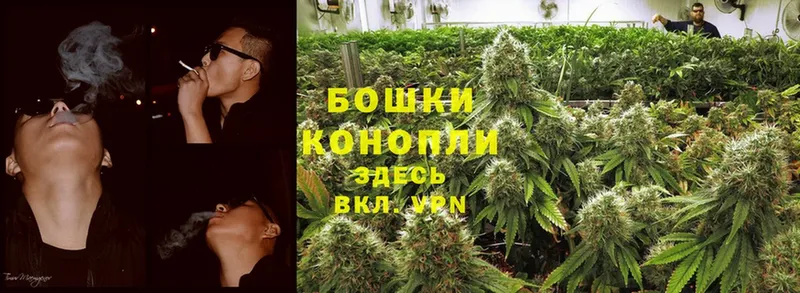 Конопля SATIVA & INDICA  блэк спрут   нарко площадка Telegram  Яровое 